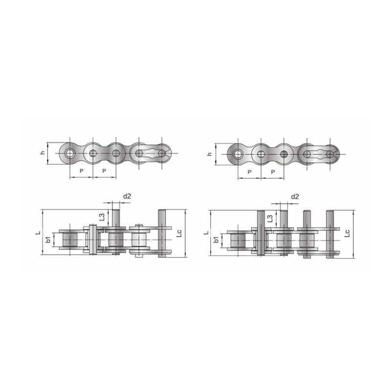 Short pitch conveyor Chain with extended pin